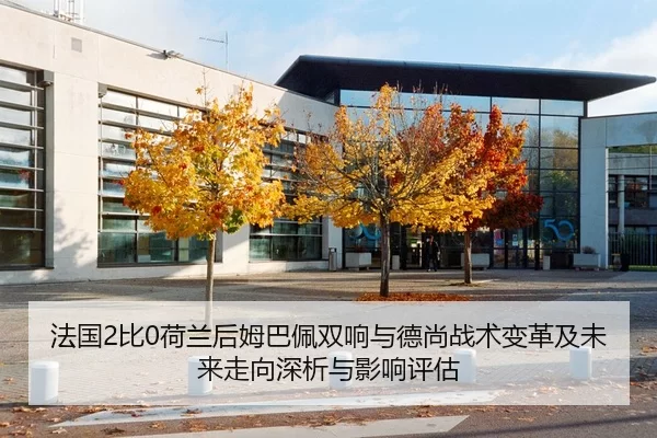 法国2比0荷兰后姆巴佩双响与德尚战术变革及未来走向深析与影响评估